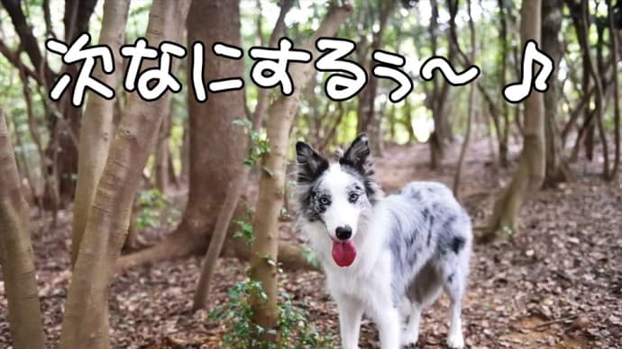 なんか…悔しいんですが🤣