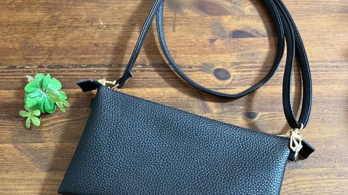 お財布ショルダー入荷