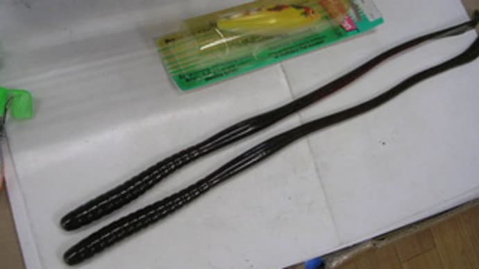長さを追い求め続けて到達した16インチ ストレートワーム