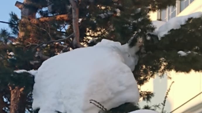穏やか札幌、今日まで?!