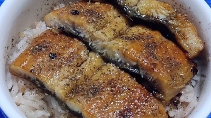 【02/21昼食】鰻蒲焼真ん中部分でミニ鰻丼、今月鰻丼もしゅ～りょ～：P