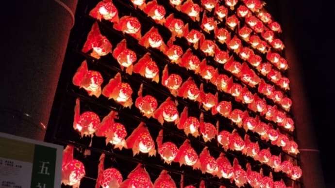 月初めのご挨拶【昼と夜】廣田神社
