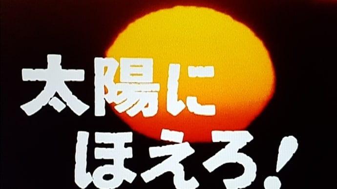 『太陽にほえろ!』1985~1986