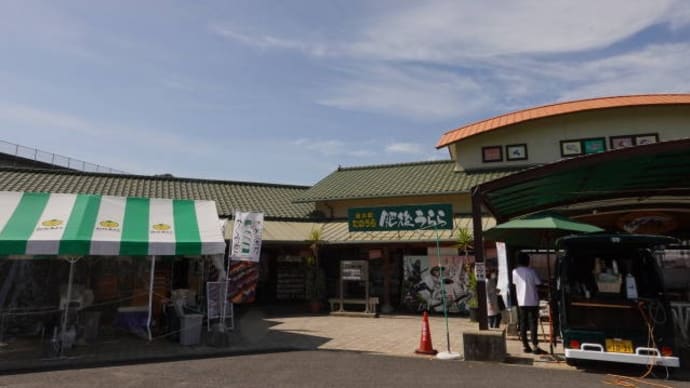 肥後うららにて 不知火太刀かぐや巻販売
