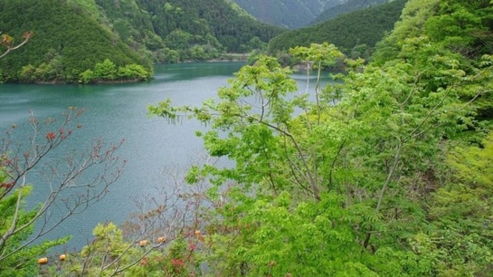 山の緑&湖面 素晴しい川上村!