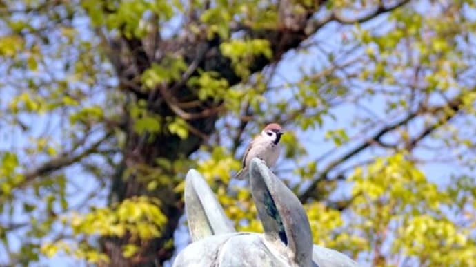 【5月1日の言葉】辻井親子の物語