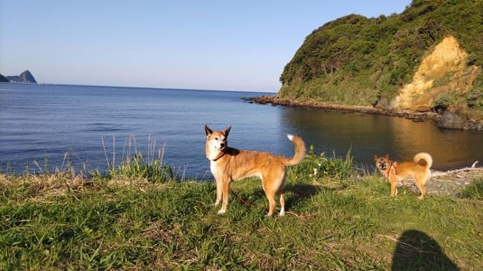 GWの犬連れ旅行・その6 愛犬と癒しのアジアンリゾート 海宿 太陽人に宿泊