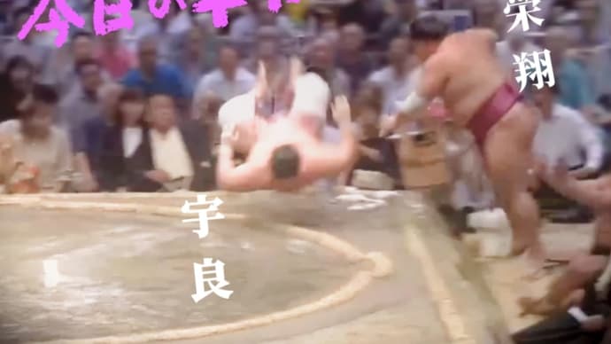 今日の宇良くん。
