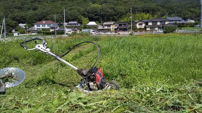 詩育日誌08.27得した気分