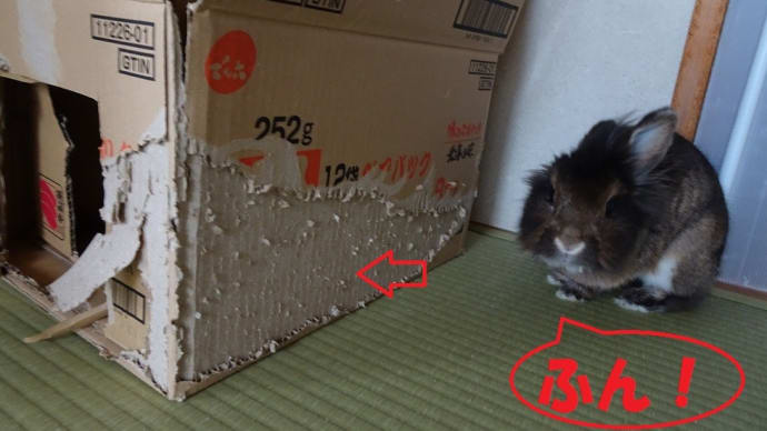 ちょっといい子にw