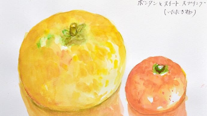 果物