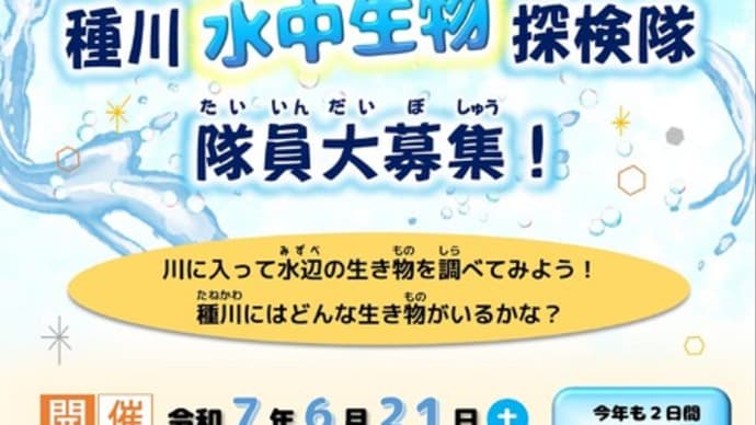 種川水中生物探検隊 隊員大募集!!(申込期間 5月17日~5月25日)