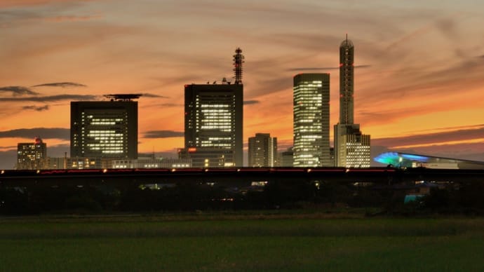 こころに残る情景・「風景」見沼から見た新都心の夜景