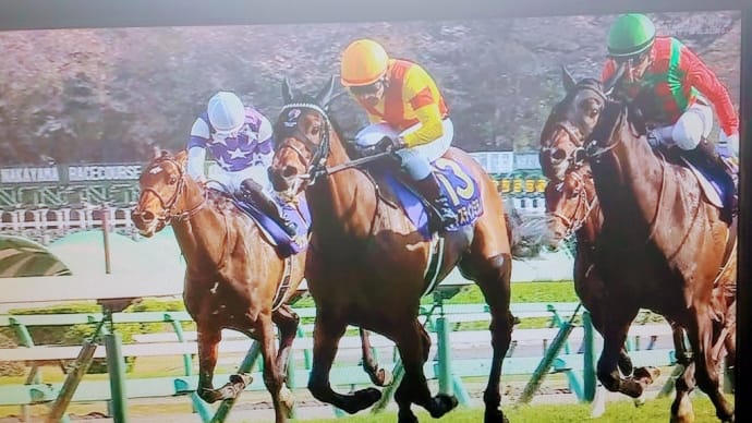 👑🐴日本ダービー 2024