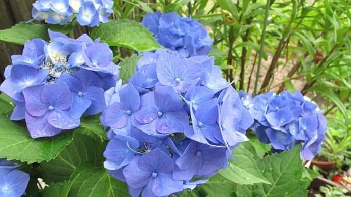 【隠居のエヘン窟 働くとは何か? 07/15】