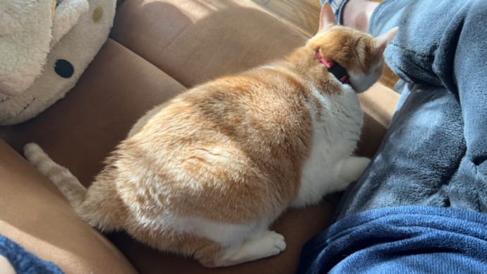 暖かい日