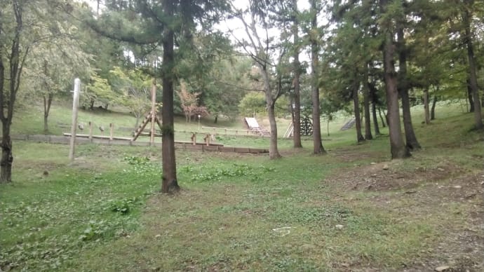 中野市 北信濃 ふるさとの森 文化公園 冒険の森✨へ行きました