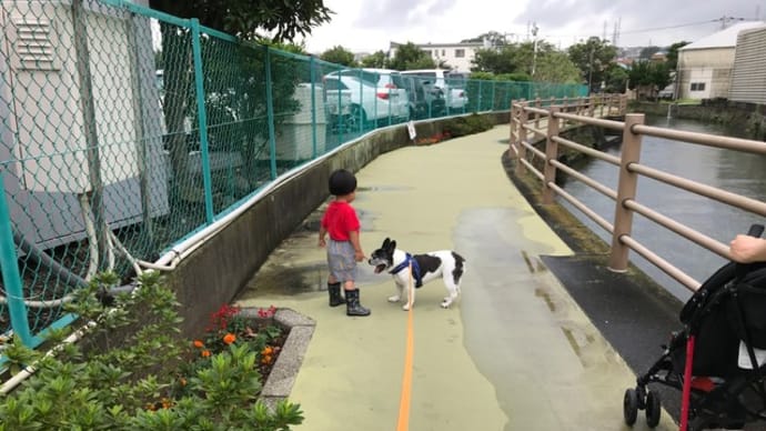 雨上がりにはキノコがニョキニョキ