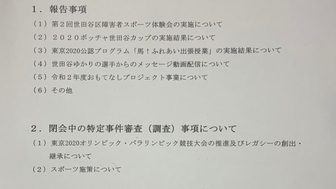 2020/12/2オリンピック・パラリンピック等特別委員会