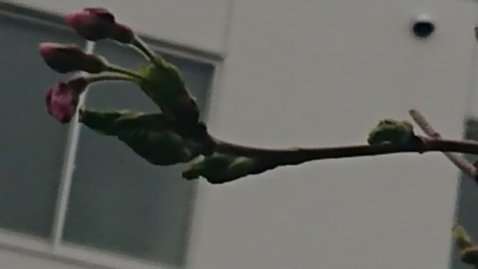 やっと、お休み