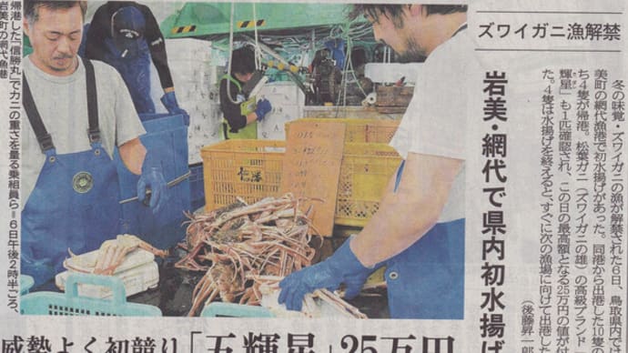 １匹１，０００万円の高値　松葉ガニ漁始まる　