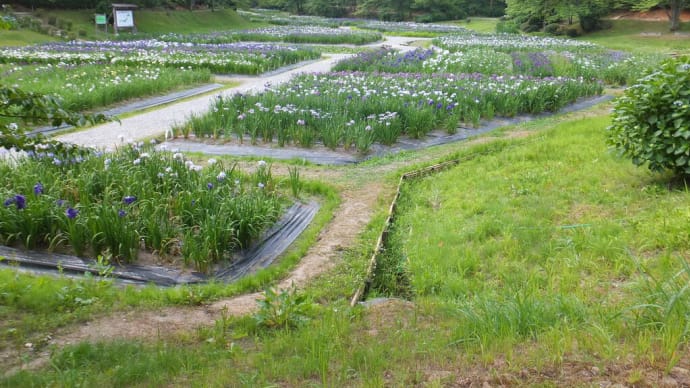 No.93 鶴岡行