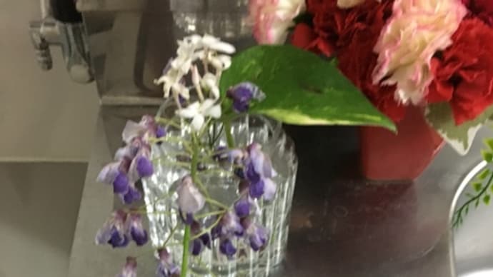 藤の花とジャスミンの花