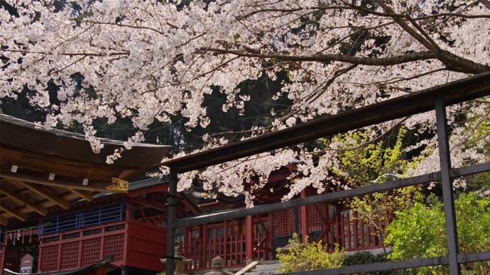 2019年4月6日、意賀美神社の桜、咲いてました
