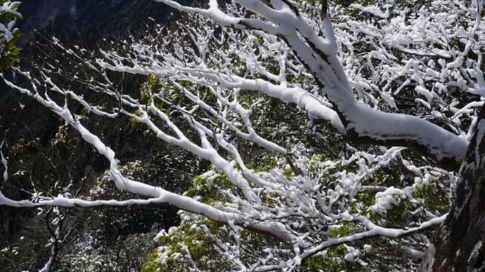 雪の多良岳へ③ 登山編