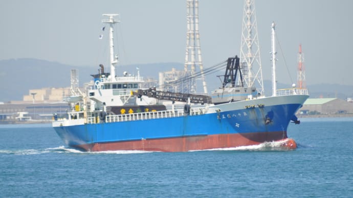 第十八信正丸. Shinsei Maru No.18 ガット船