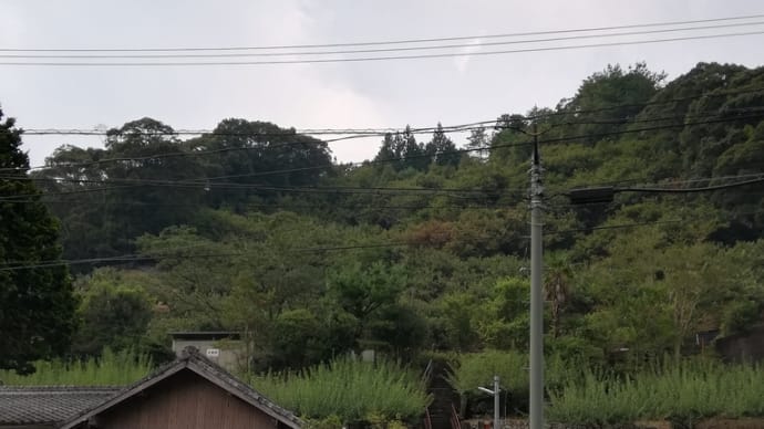楽しもう☆高知＆宇和島！〈予土線沿線ぶらり旅しまんトロッコ編〉