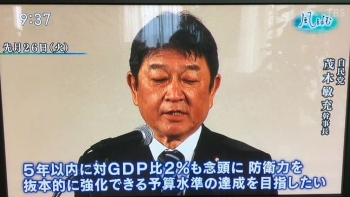 憲法記念日に思う
