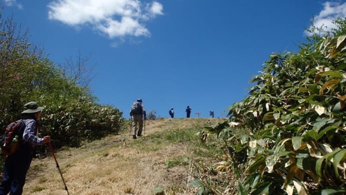 東根山