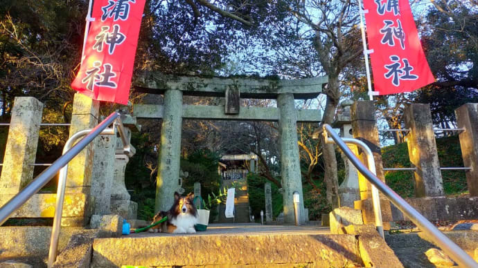 小次郎の生活－初詣（荻浦神社）2022年－