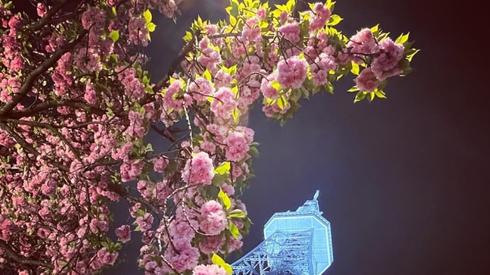 夜散歩