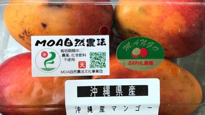 自然農法の完熟マンゴー
