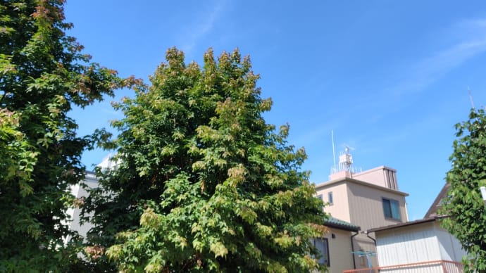 私にとってのgoo blog