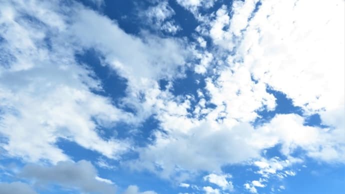 風が強い一日でしたね!