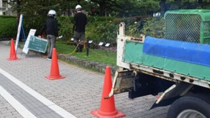 中区：平和記念公園バラ保守管理業務