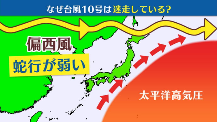 頑張れ偏西風❗️