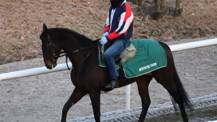 エルフストラック🧝♀️、2/2のレースを目指して