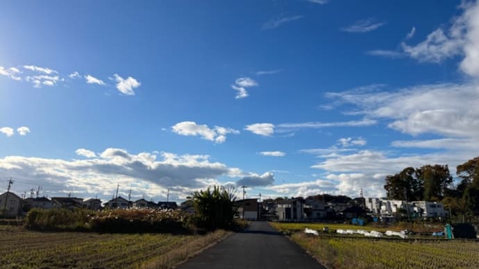 ちょっとした