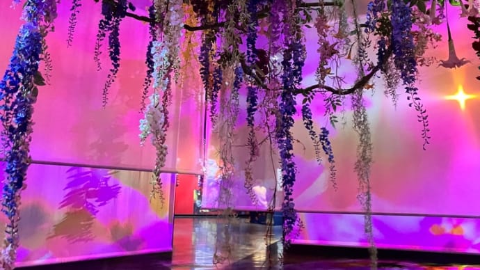 蜷川実花展2