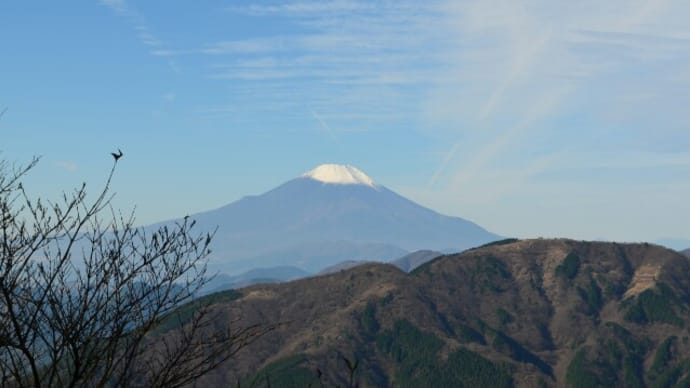 愛用のカメラ