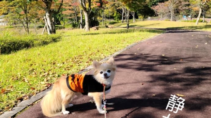 あさごエコパークは貸し切りでした