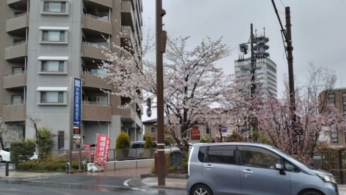 調律と様相とワタシ