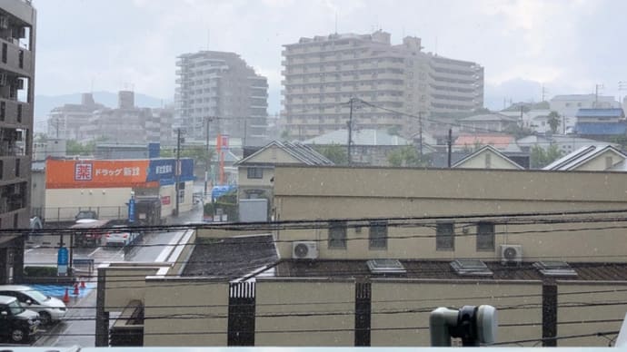 今日から通常の葉月堂