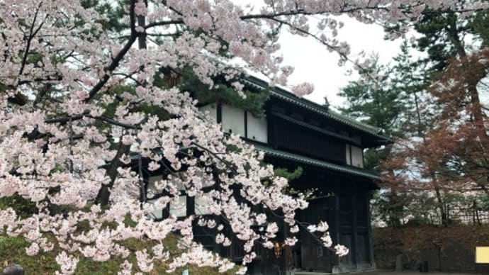 桜雨南内門(弘前城 二の丸)