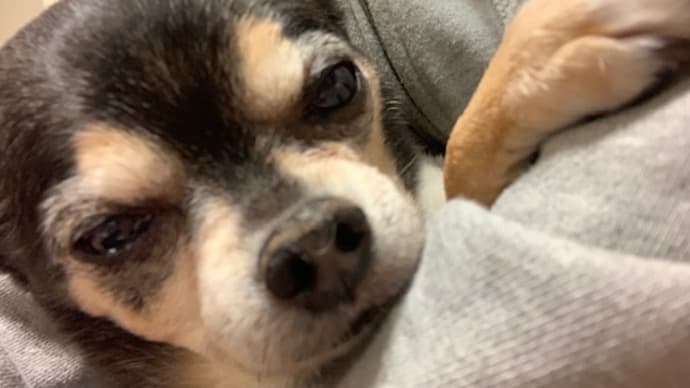 かあちゃんはA型です。