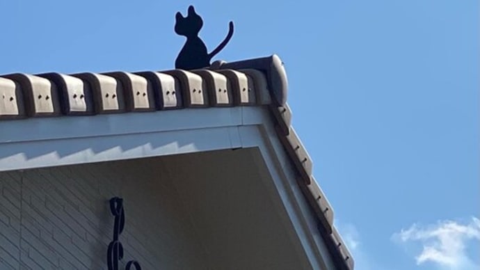 猫の家